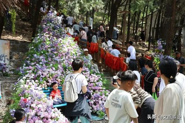 极速漂流、山地滑车、音乐露营……泰安当下最流行的「冷系」浪漫在这里！