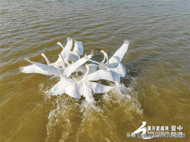 榆社县云竹湖：文旅融合绘新卷 诗意山水谱新篇