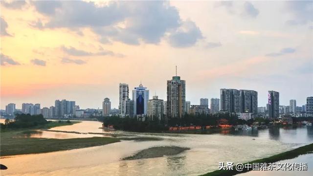 千缕茶香飘金砂,临窗赏景任风流