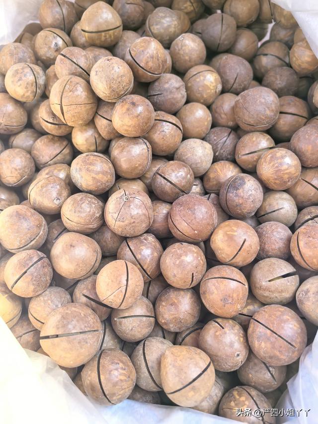 柯街黑温泉度假之旅，最后一个赶集日的烟火与日常