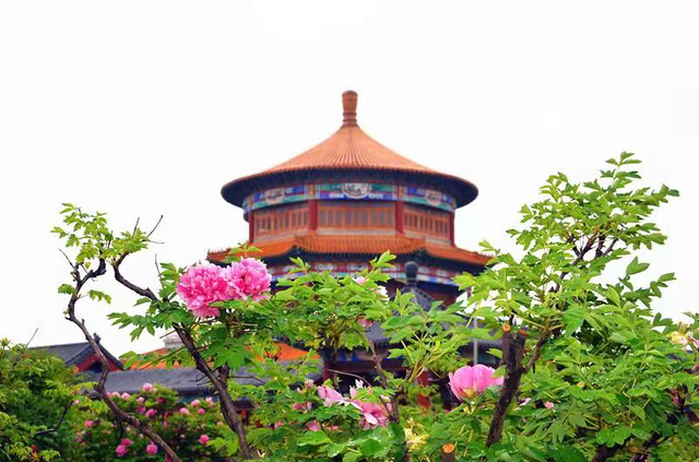 “县”在出发！解锁莒县的N种玩法！