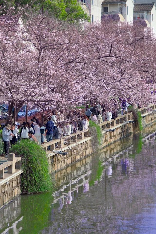 若你偏爱江南的温柔春色，就来常熟遇见美好