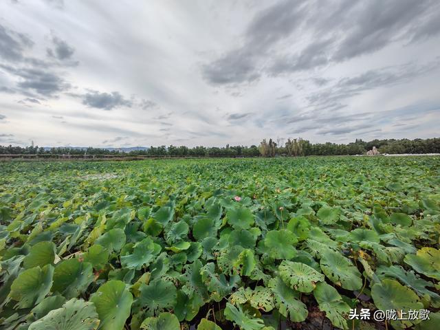 讲好黄河故事 盘活沿黄资源！兰州黄河大峡谷旅游廊道正式启航