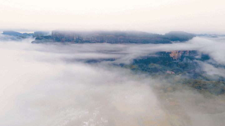 韶关晚秋“神仙景致”：云海、奇峰、秋叶奏响绝美“三重奏”！