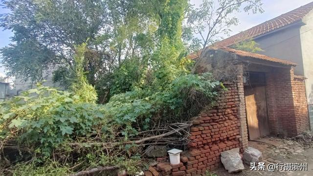 【行摄滨州】沾化古城现状