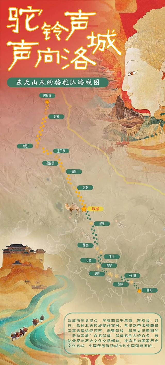 重走丝绸之路，这支“东天山来的骆驼队”到哪了？