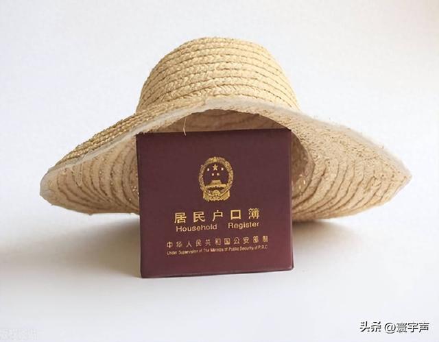 农村户口不再 “想迁就迁”，农耕文明现代化路上，乡村振兴咋破局