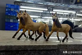 透过三个案例，解析辽宁养老金的地域差异，统一标准该不该实现？图片