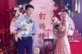 主人订婚，“彩礼狗”和“陪嫁狗”骂咧咧互看不上图片