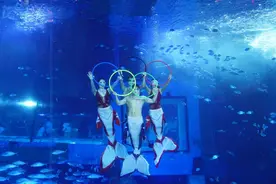 水下盛宴献礼奥运！美人鱼冠军表演秀在正佳极地海洋世界举行全国首演图片