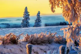 洞察力一绝的三个星座图片