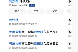 双流区，在成都像谜一样的存在图片