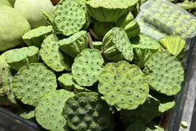 10元3个！杭州人盼的这口夏日清甜来了！老板娘：进货也要抢，有人凌晨3点就蹲着了……图片