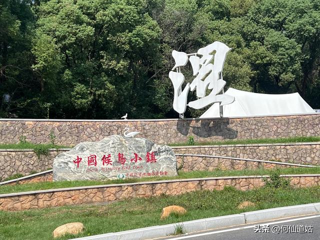 吴城“世界湿地，候鸟王国”