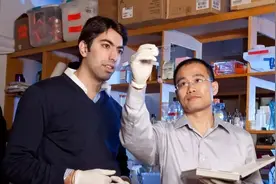 普林斯顿教授：中国学生的功利心妨碍了他们的长远发展图片