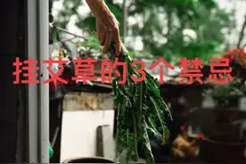 今年端午是“凶日”，提醒挂艾草3个忌讳：1不采、2注意、3不挂图片