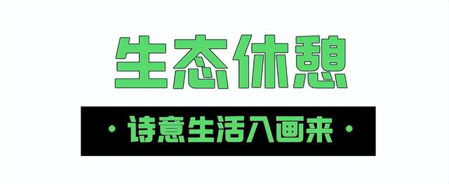 这样的桐梓坡，你一定没见过！