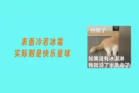 为什么进入秋天以后，还是忍不住想吃点凉的？图片