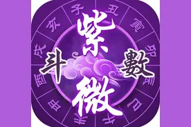 《王少阳紫微斗数开悟课》1：紫微斗数正确的入门方法（上）图片