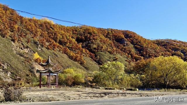 2025我的寻秋之旅D18 新生鄂乡—呼玛