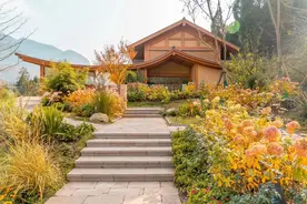 坐高铁游广元 | 住在风景里，享受慢生活，周末就住进这些宝藏地~图片