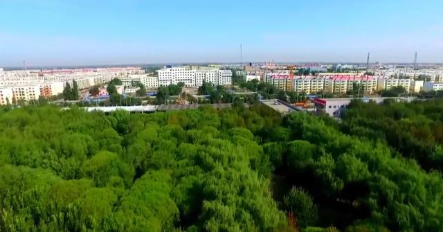 【青湖文艺】碧波、稻香与椒蒿鱼的故乡