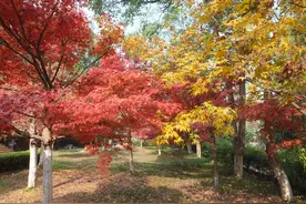 农村实用新对联之九（丧联二）图片