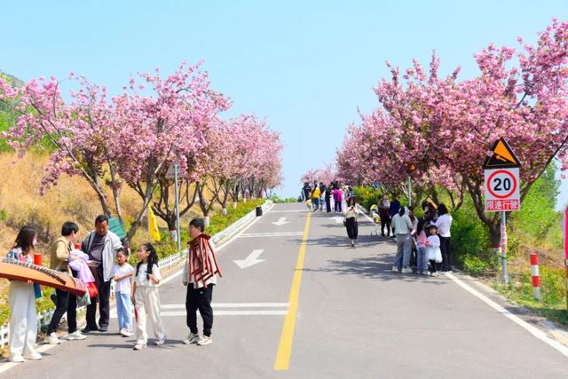 93.24万人次！济宁清明小长假“热”力全开