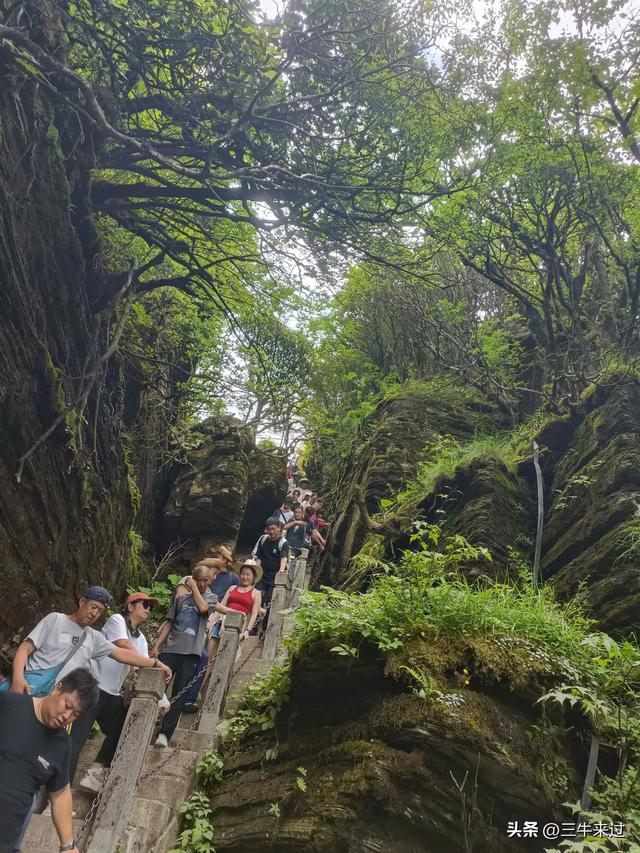 无为在歧路，贵州六日行（15）～梵净山