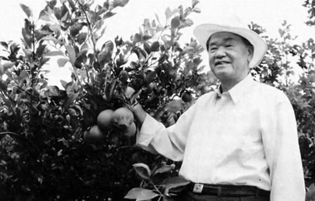 他48岁接替华国锋职务，官至副国级，退休后回到农村当农民