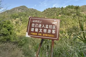带娃上春山“打野”，结果差点被抓！在这些地方挖野菜，违法！图片