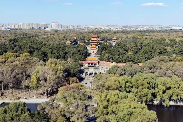 沈阳这些地方太美了!赏秋倒计时,错过等一年!