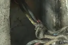 太惨!夫妻旅游11天未关电闸家中失火，烧了15个小时物业未发现!图片