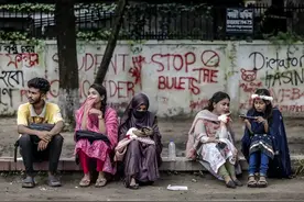 孟加拉调查报告图片