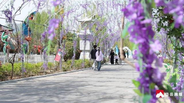 泰山石敢当景区2026花朝节浪漫启幕
