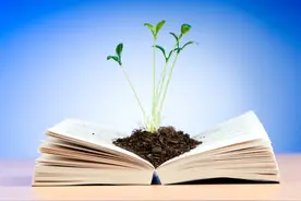 说说鲁迅的一生图片