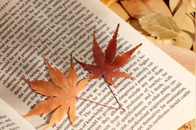 长春民办二本大学有哪些？附2023年最低录取分数线汇总图片