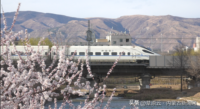 呼和浩特赏花攻略：最佳地点+公交出行指南