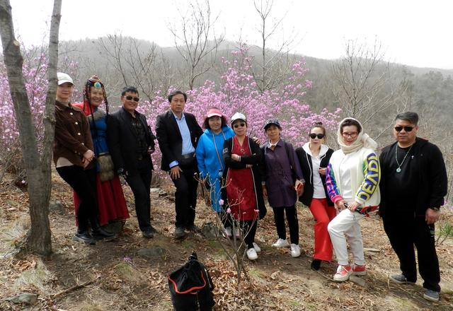 闻名省内外的“本溪地区最大的野生映山红花海”即将迎来观赏季