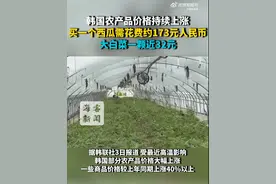 韩国农产品价格持续上涨，买一个西瓜需花费约173元人民币，大白菜一颗近32元图片