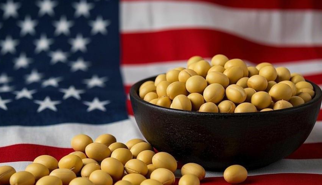 中美贸易休战才2周，中国对美大豆采购停滞，商务部回应话里有话