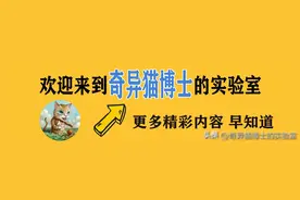 明明已经分开很久了，为什么还是会经常梦到那个曾经喜欢的人？图片