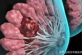 为什么阳虚易生癌？何为阳虚？（一）图片