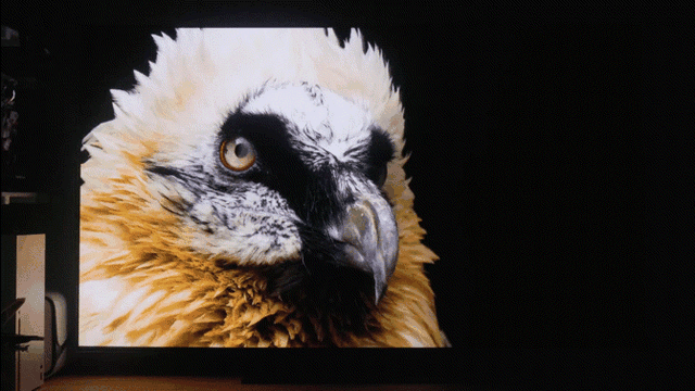 10平米全能空间大揭秘，LG OLED evo 4K 55G5智能电视补齐最后短板