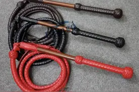 谁懂啊，鞭子居然有这么多种图片