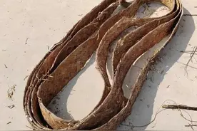 老一辈人曾用过的老物品，认出两个正常，都能认出证明你老了图片