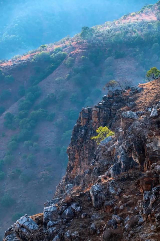 冬天到攀枝花晒太阳是定律来的！