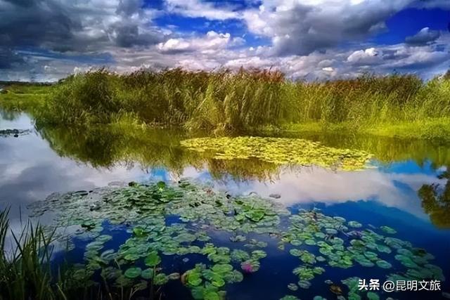 超详细攻略！在昆明官渡，与鸥共舞，六种玩法开启冬日漫游！