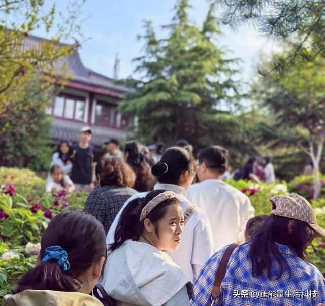 青岛城阳这处“国色天香”藏不住了！火爆了！