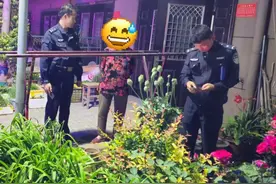 果断报警！“小孩哥”立功了！图片